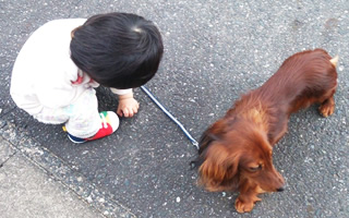 代表挨拶