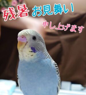 🌊お盆休み🍉